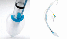 How healthcare must respond to ventilator-associated pneumonia (VAP) in invasively mechanically ventilated COVID-19 patients