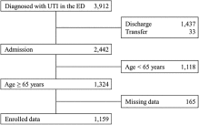 A novel predictive tool for prognosis in elderly patients with urinary tract infection: Modified PRACTICE