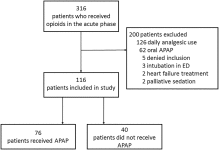 Intravenous acetaminophen does not have an opioid sparing effect in Emergency Department patients with painful conditions