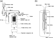Successful management of heat stroke associated with multiple-organ dysfunction by active intravascular cooling