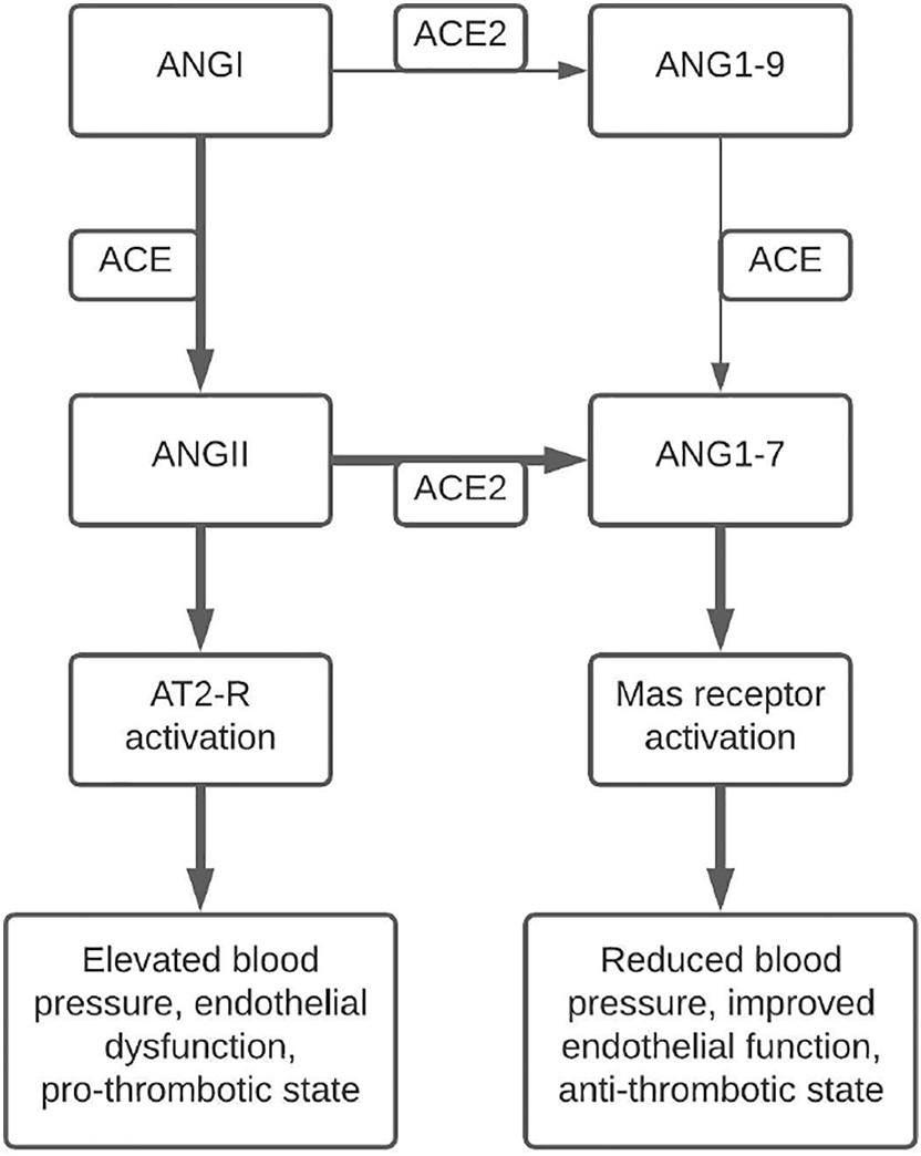 Image of Fig. 1