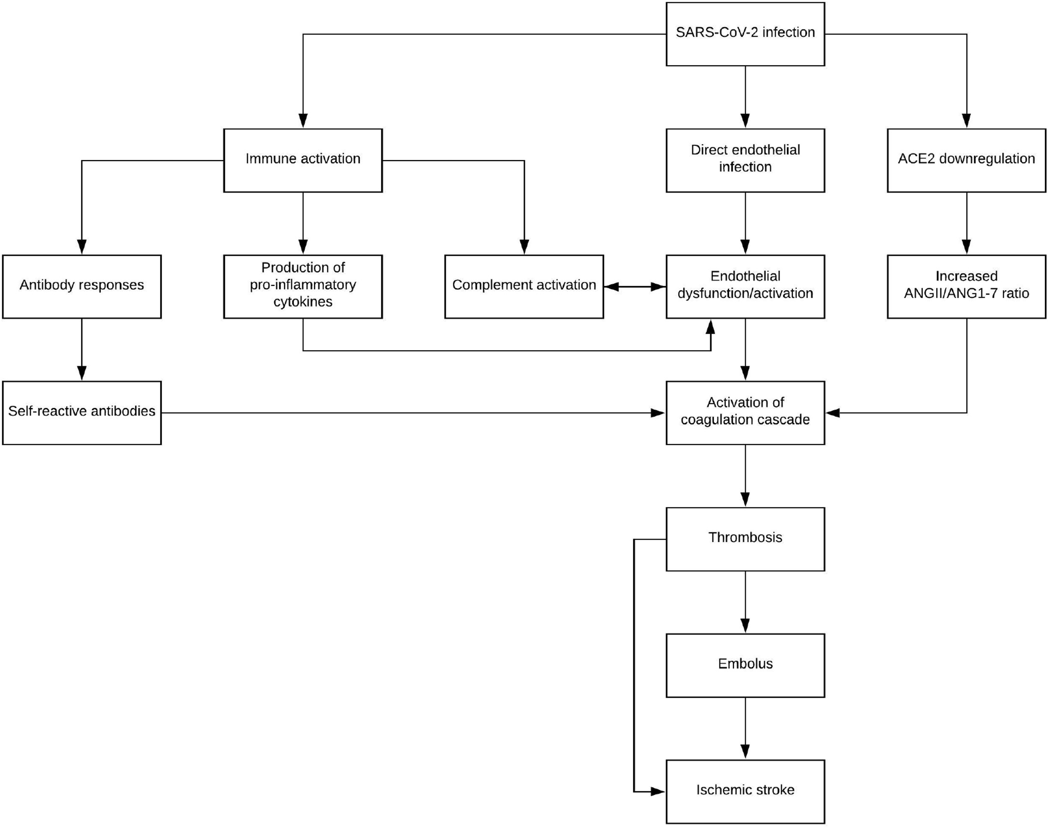 Image of Fig. 2